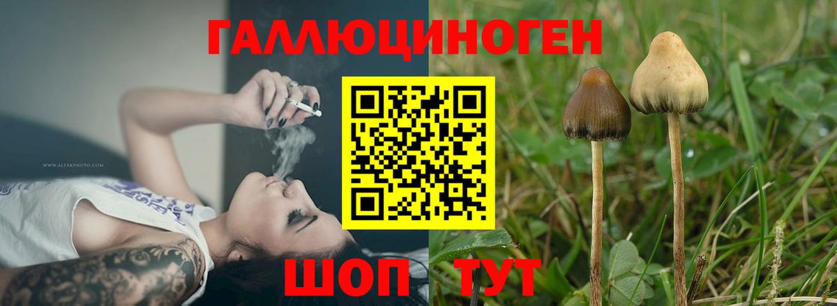 Галлюциногенные грибы Cubensis  Псилоцибиновые грибы мухоморы  Вход с VPN  продажа наркотиков  Кирово-Чепецк 
